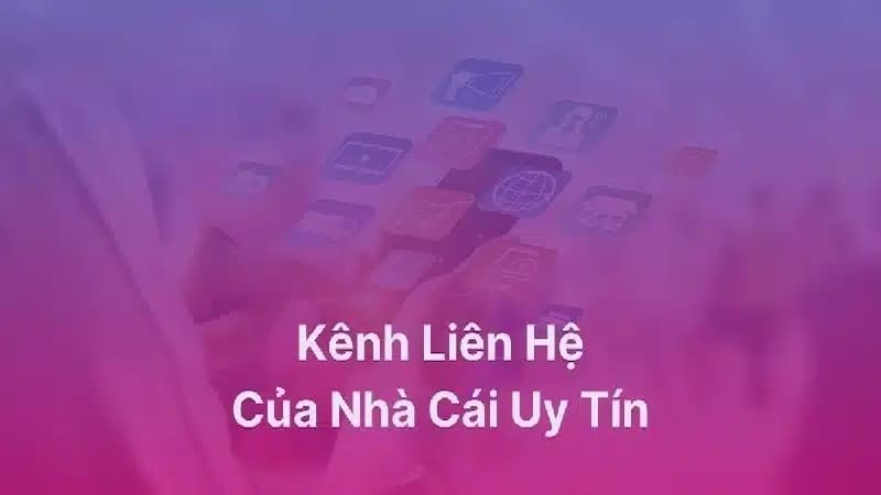 Các kênh liên hệ Tydo88 hiện có